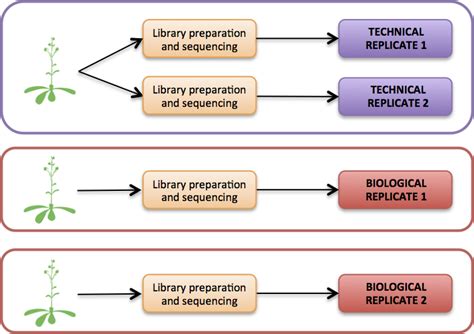 technical replicates meaning